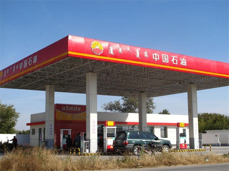 乐陵加油站钢结构网架案例1